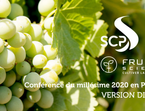 La conférence du millésime 2020 en Provence, en replay !